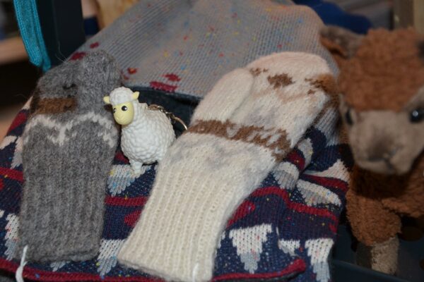 raxalpakas_shop_10 raxalpakas_shop_10